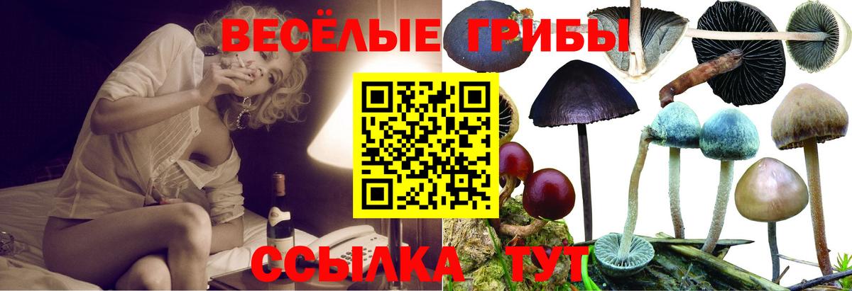 Киров  Галлюциногенные грибы мухоморы  Галлюциногенные грибы Magic Shrooms  Вход с VPN 